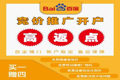 SEM推广优化策略：成功案例解析